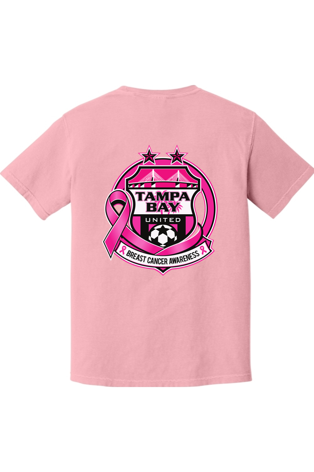 TBU x BCA pink Comfort Colors T-shirt in light pink, back view